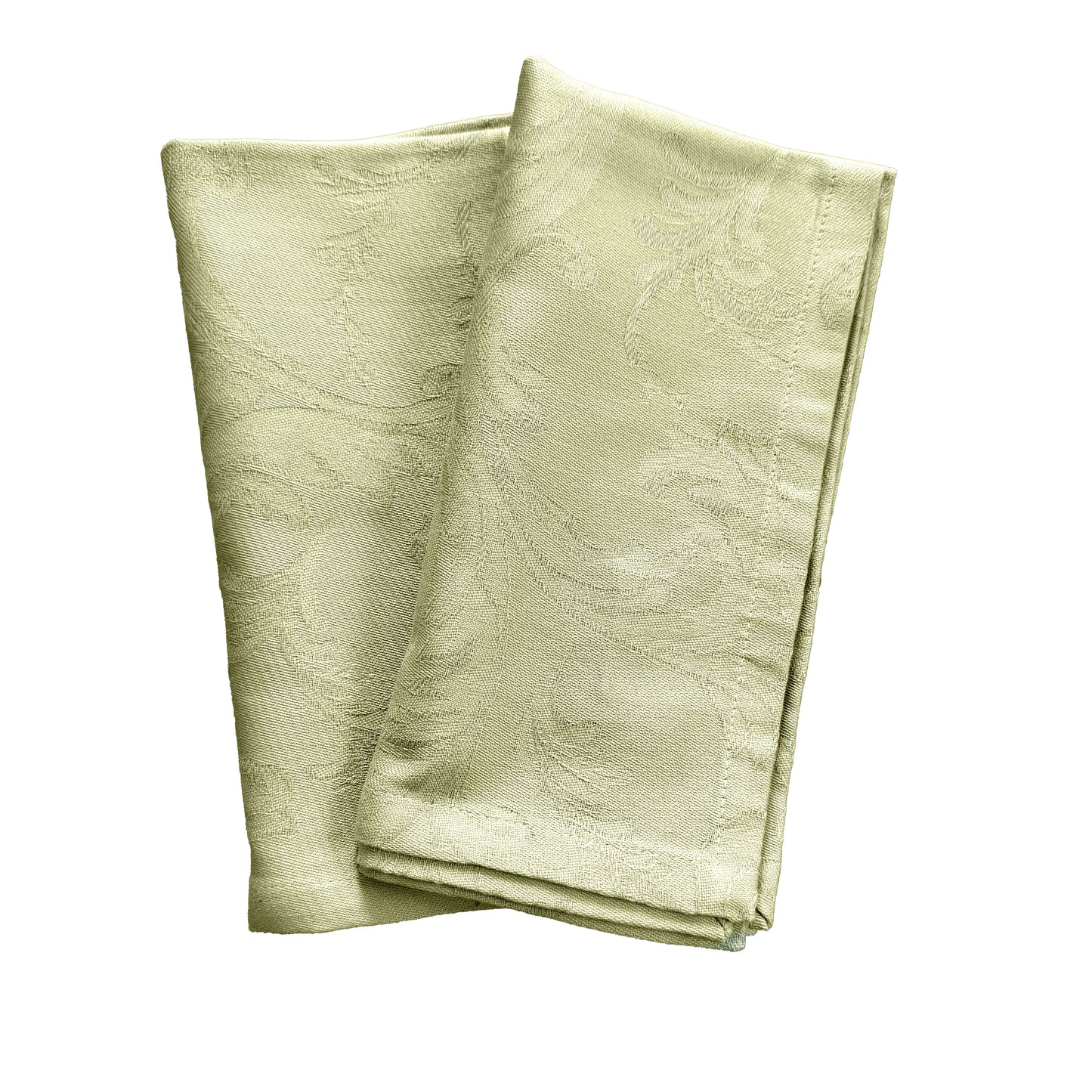 Carlton Linden Napkins Set of 2