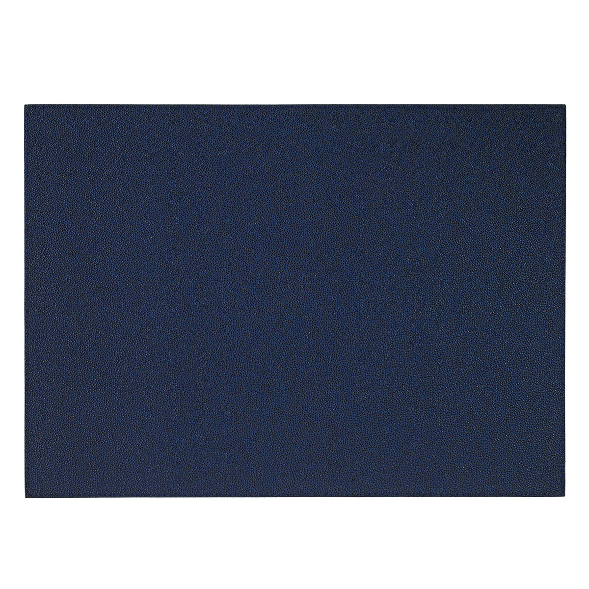 Skate Shagreen Vinyl Placemats