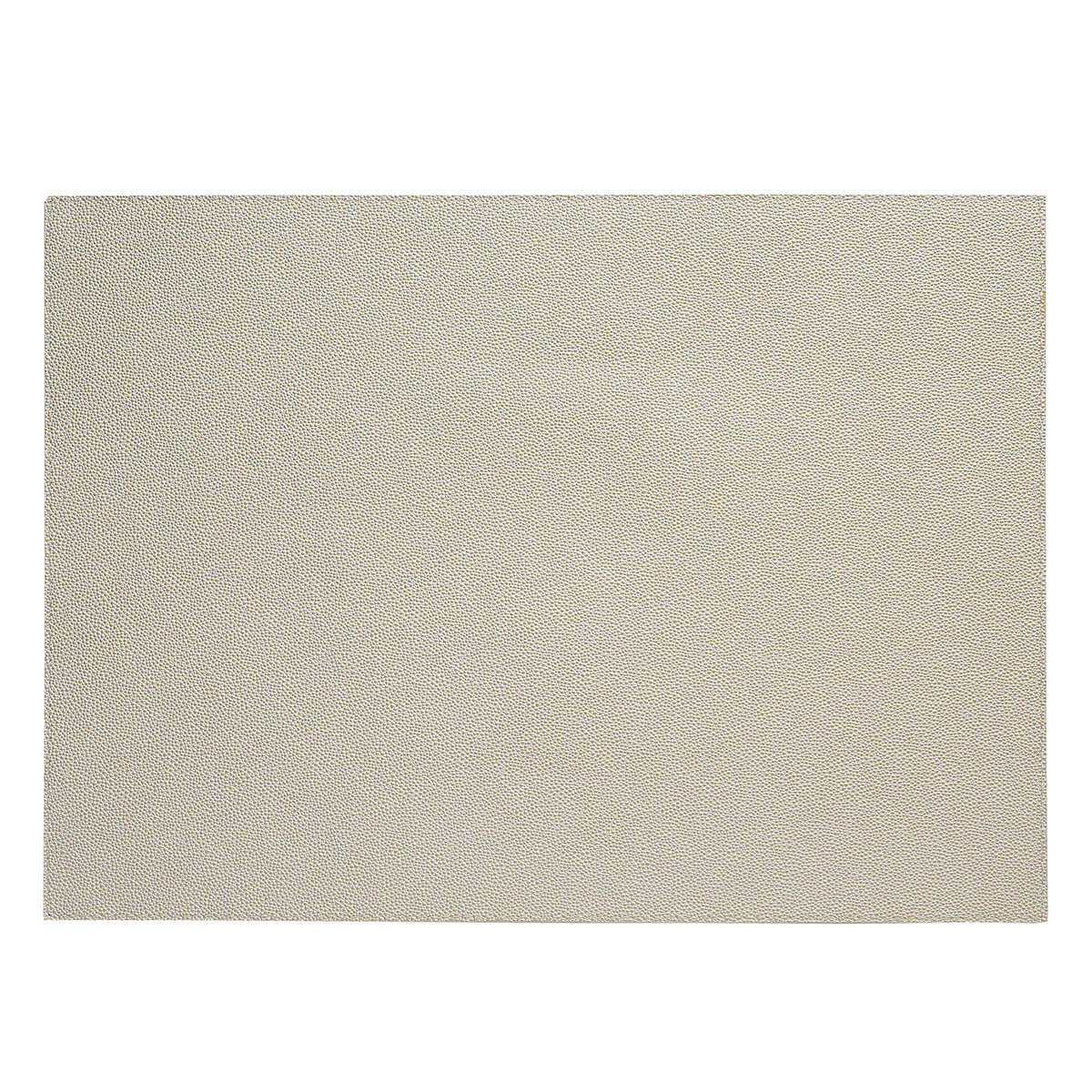 Skate Shagreen Vinyl Placemats