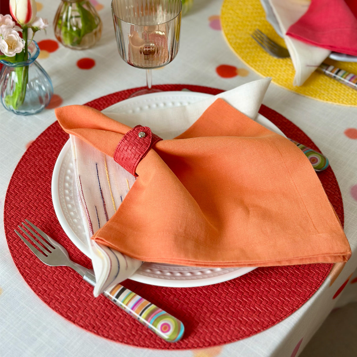 Wicker Textured & Colorful Vinyl Placemats